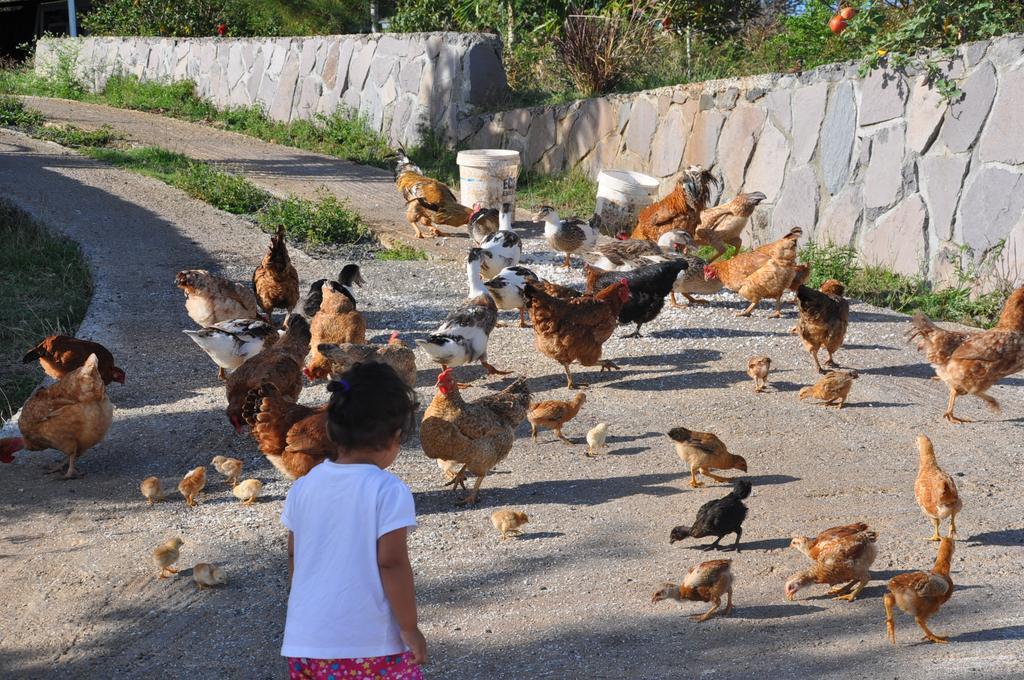 فندق لو ريفيوجيه La Ferme المظهر الخارجي الصورة